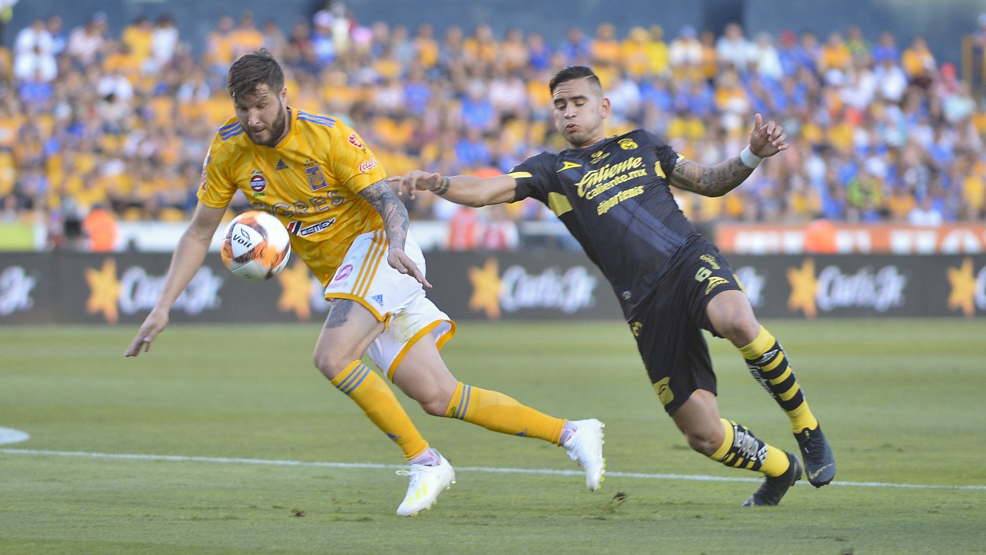 Andre-Pierre Gignac Tigres Sebastian Vargas Monarcas Morelia