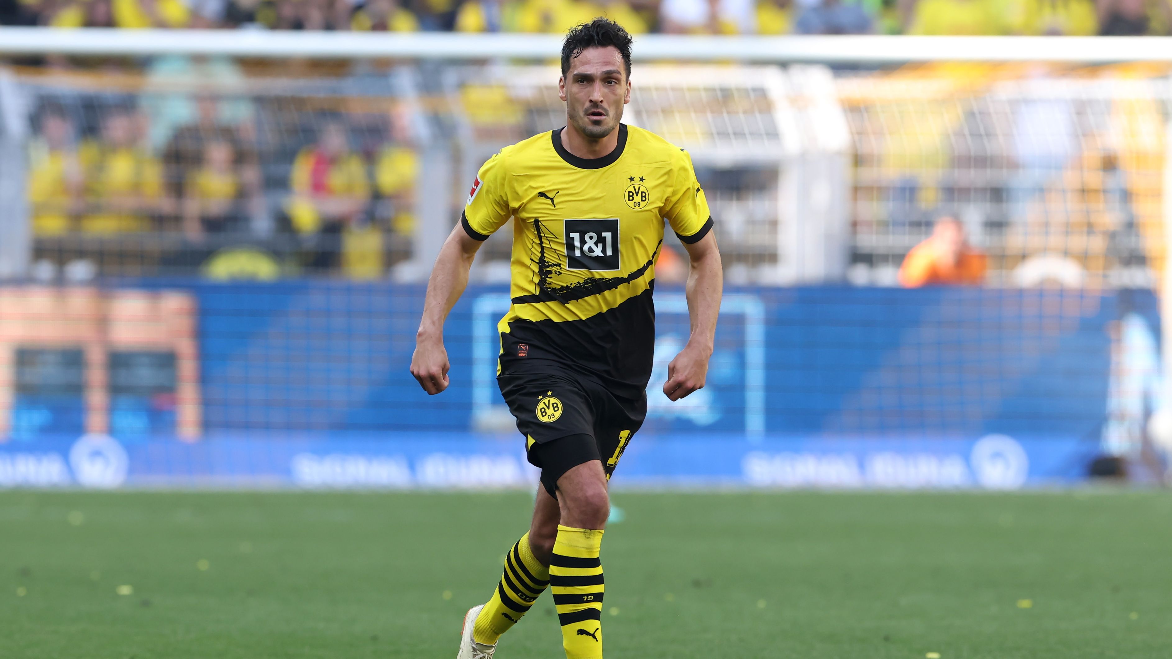 Borussia Dortmund 2023 24