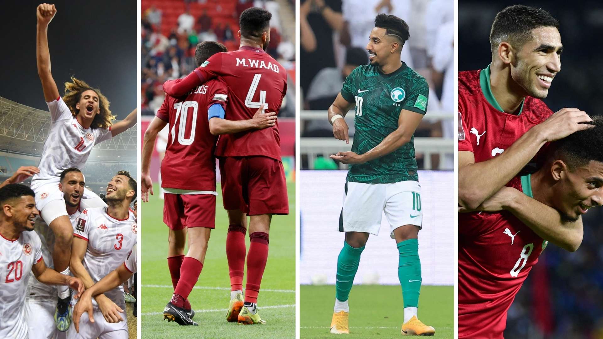 السعودية والمغرب وتونس وقطر