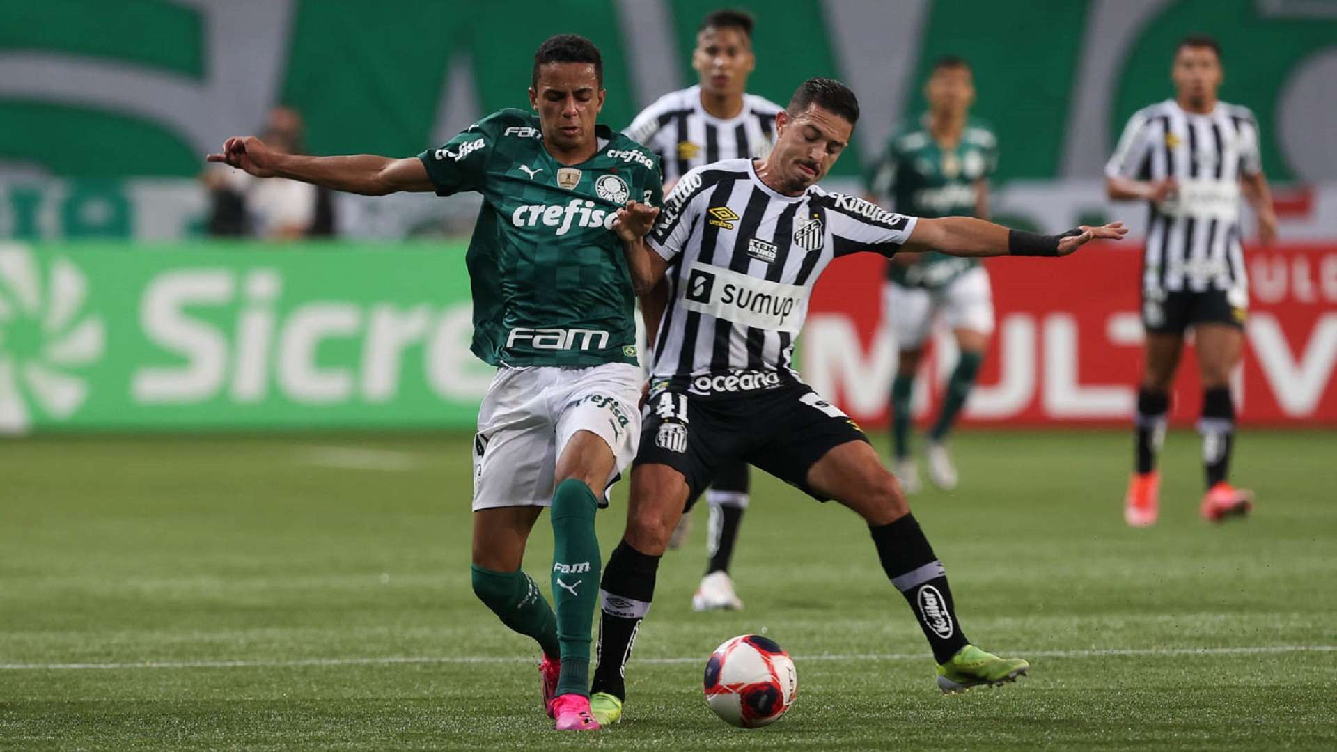 Giovani Palmeiras