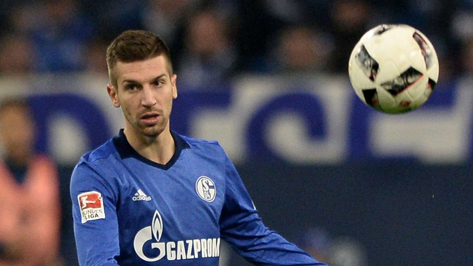 Matija Nastasic 11062016