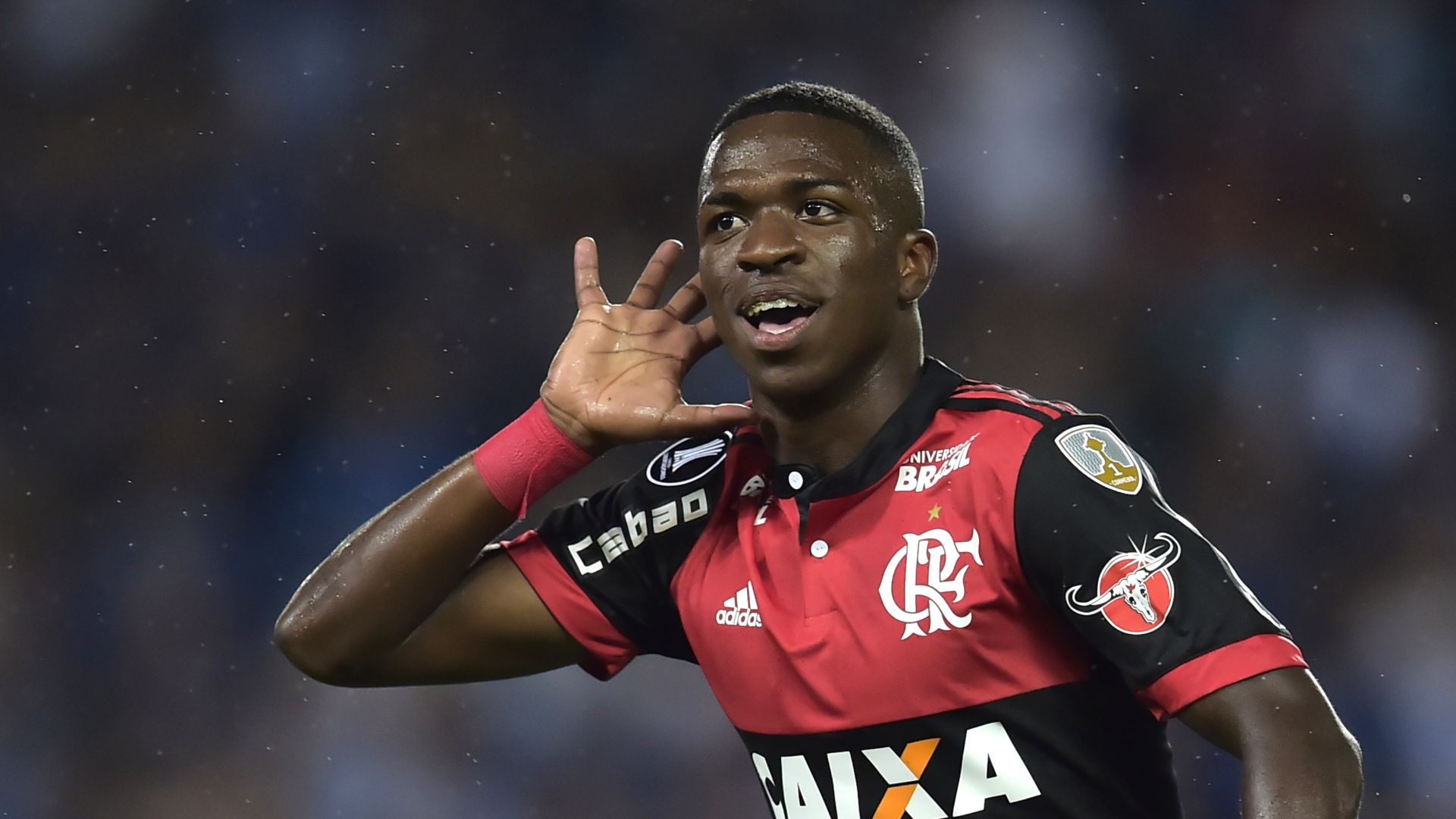 Vinicius Flamengo