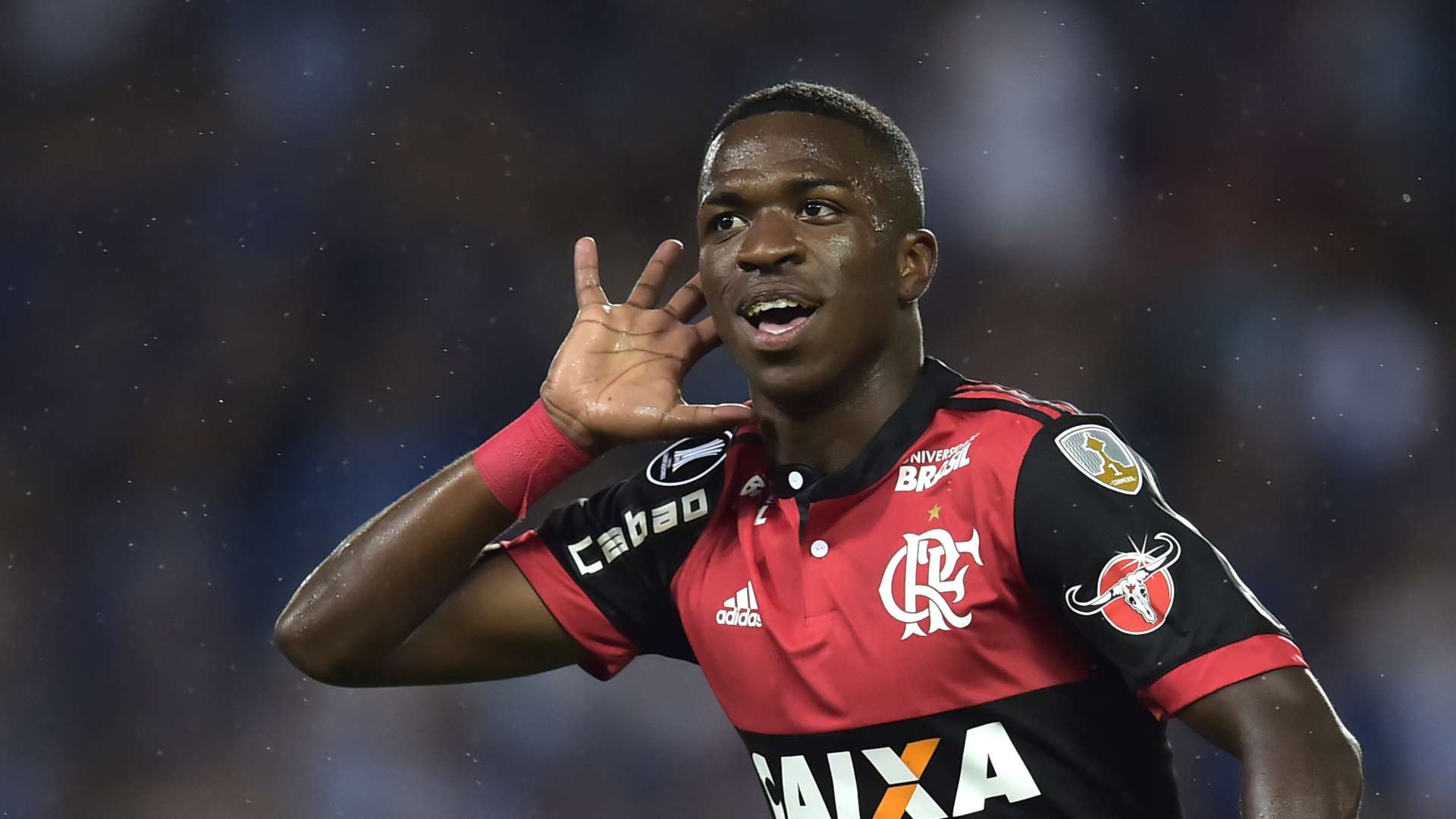 Vinicius Flamengo