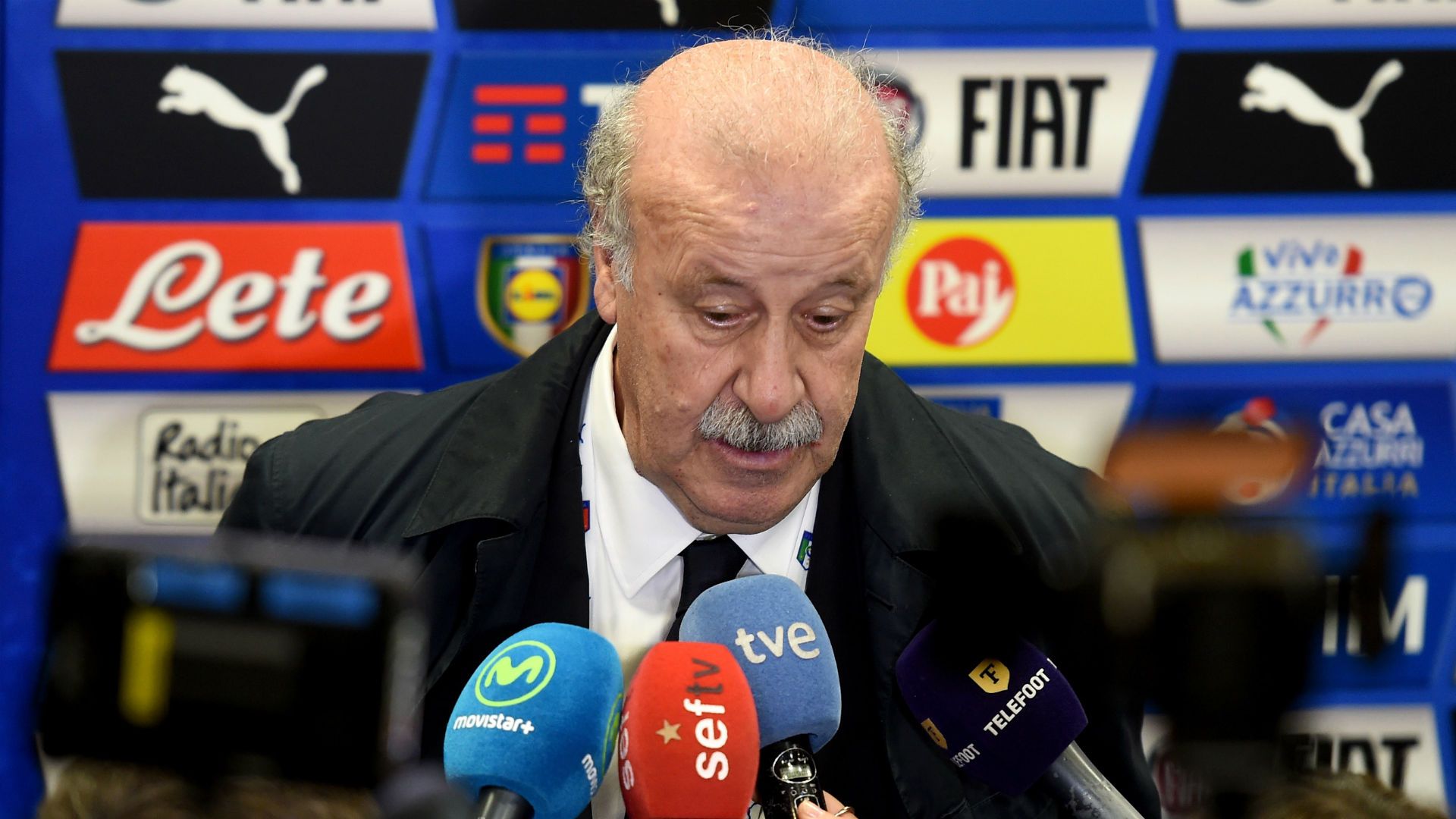 vicentedelbosque - Cropped