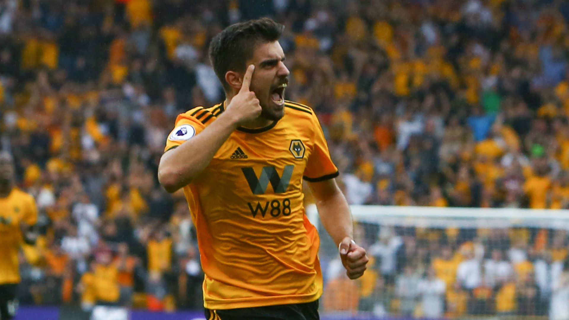 Wolves Everton 08112018