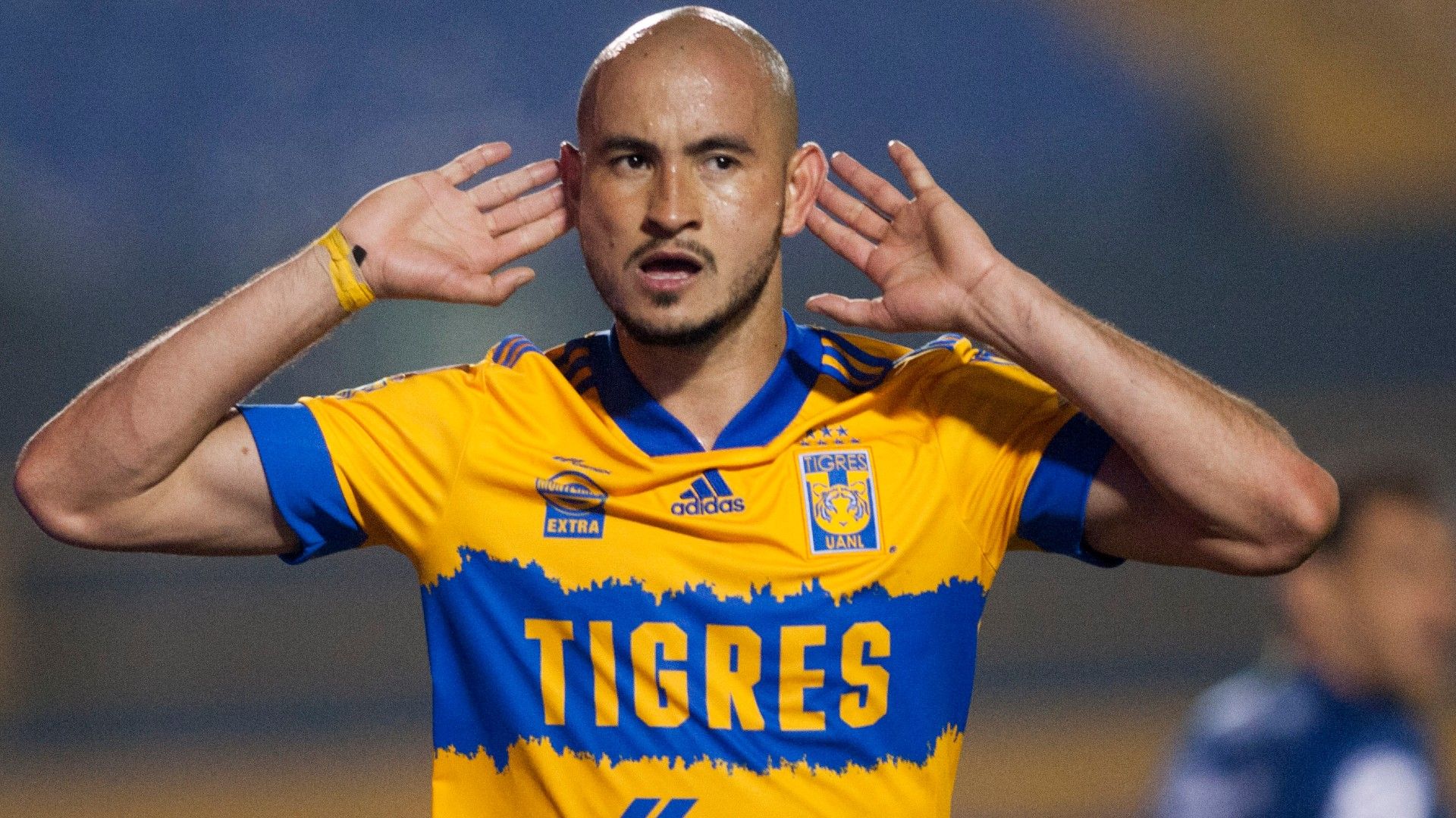 Carlos González Tigres