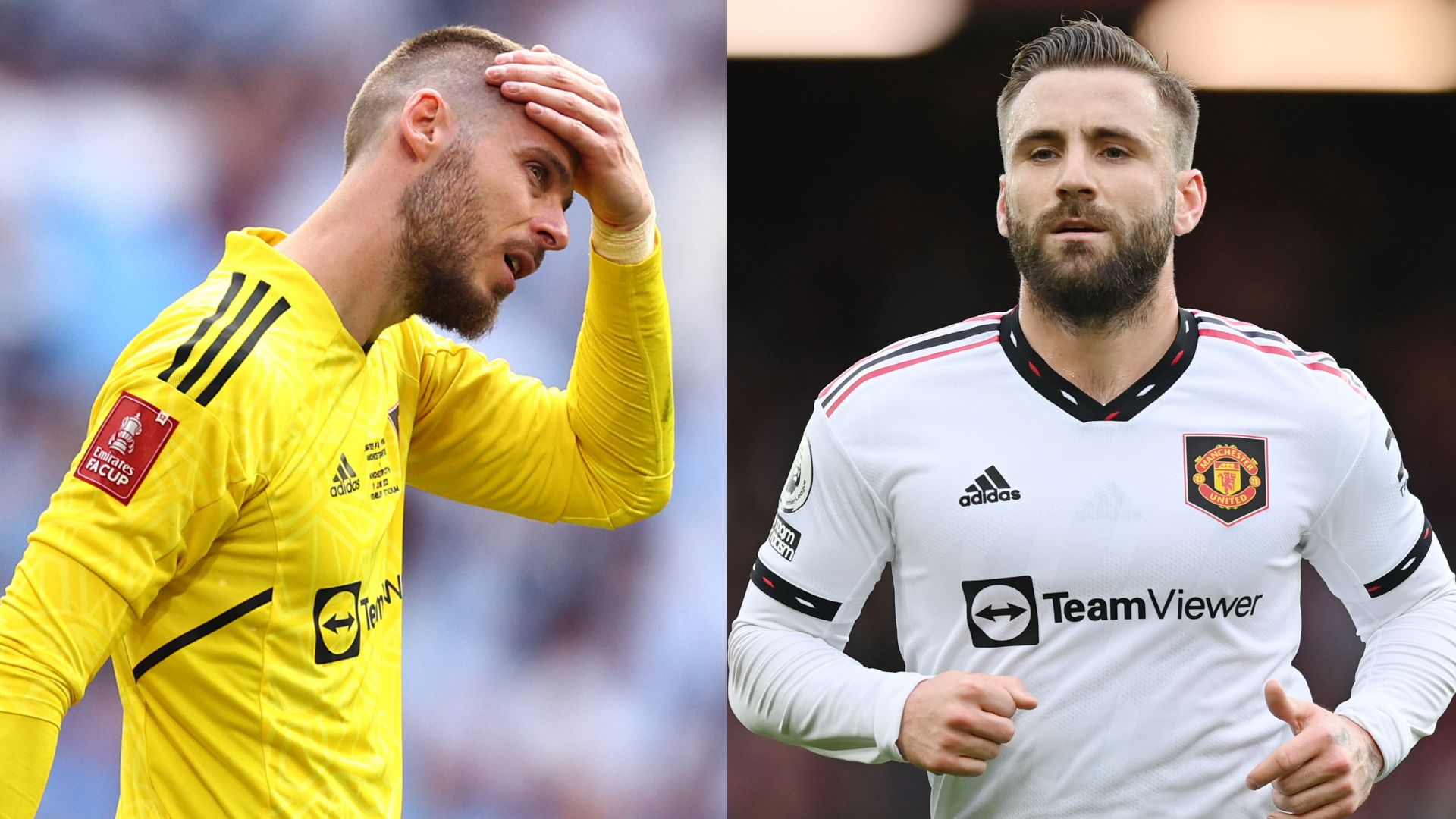 David De Gea Luke Shaw Manchester United
