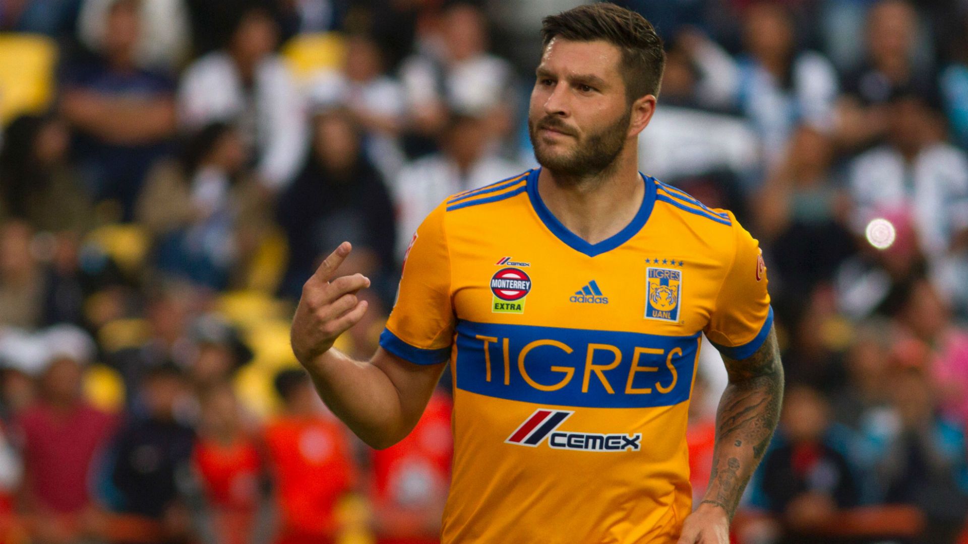 gignac tigres pachuca j4 ape17