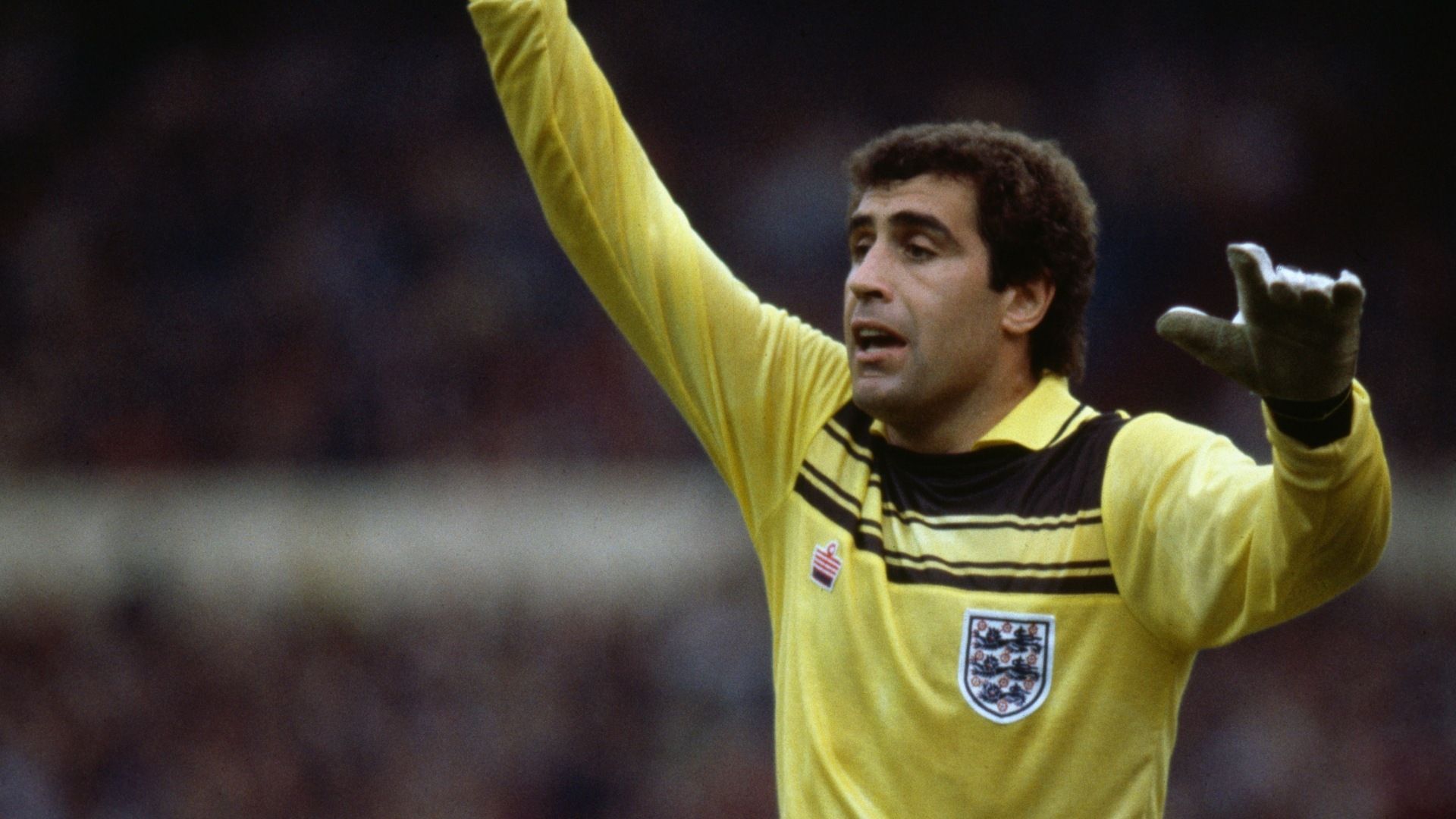 Peter Shilton 1980
