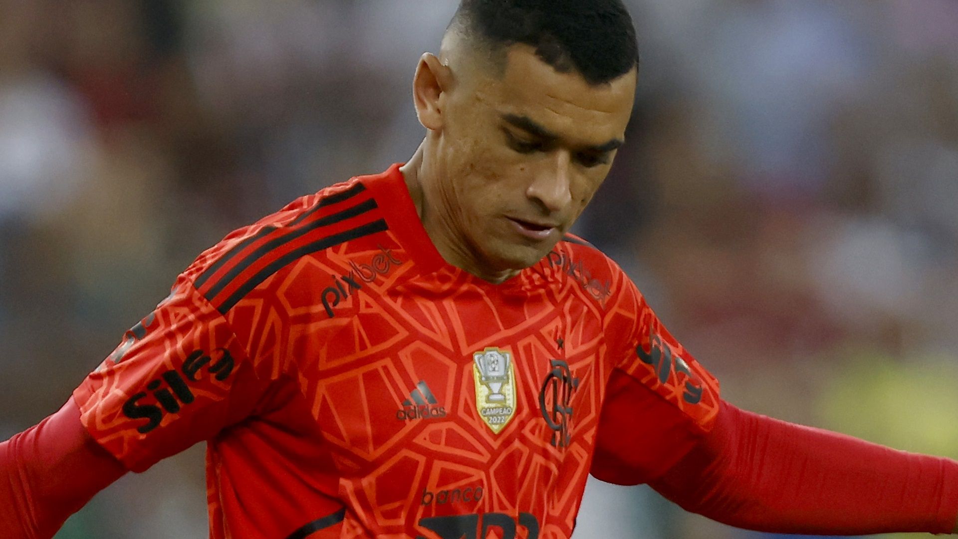 Santos, goleiros do Flamengo