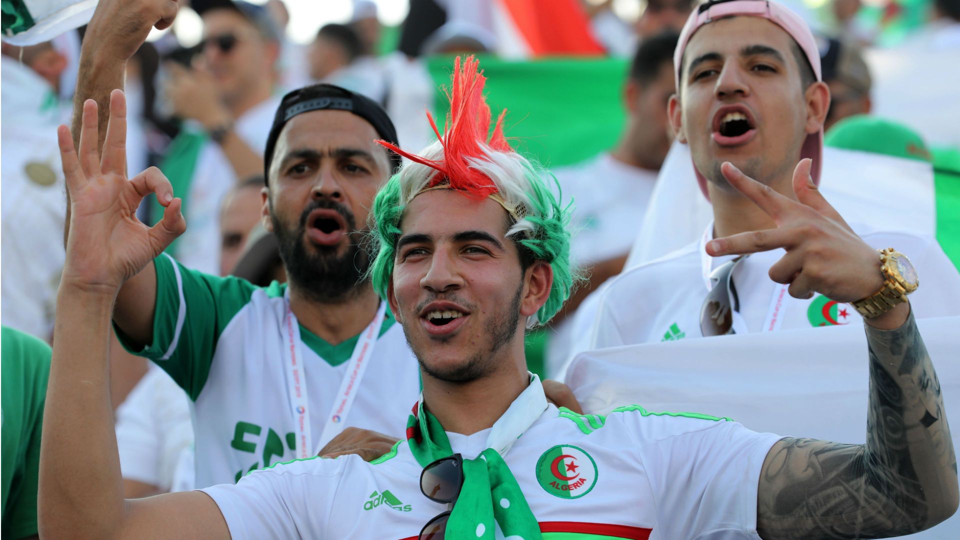Algeria fans