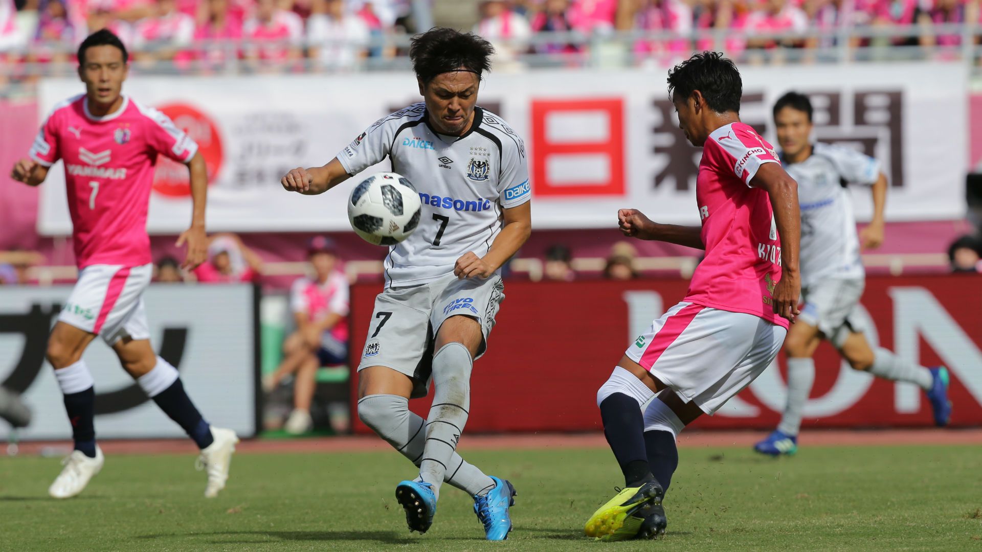 2018-10-08-gamba-endo