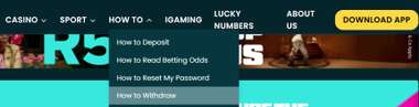 LuckyFish Withdraw Menu