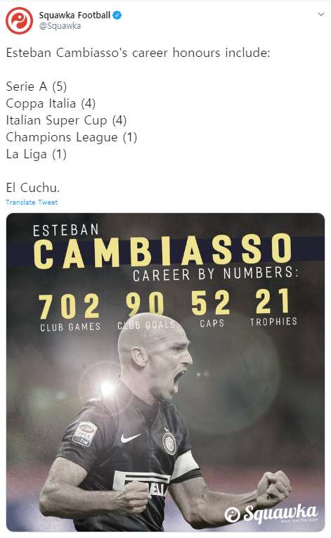 Cambiasso Career