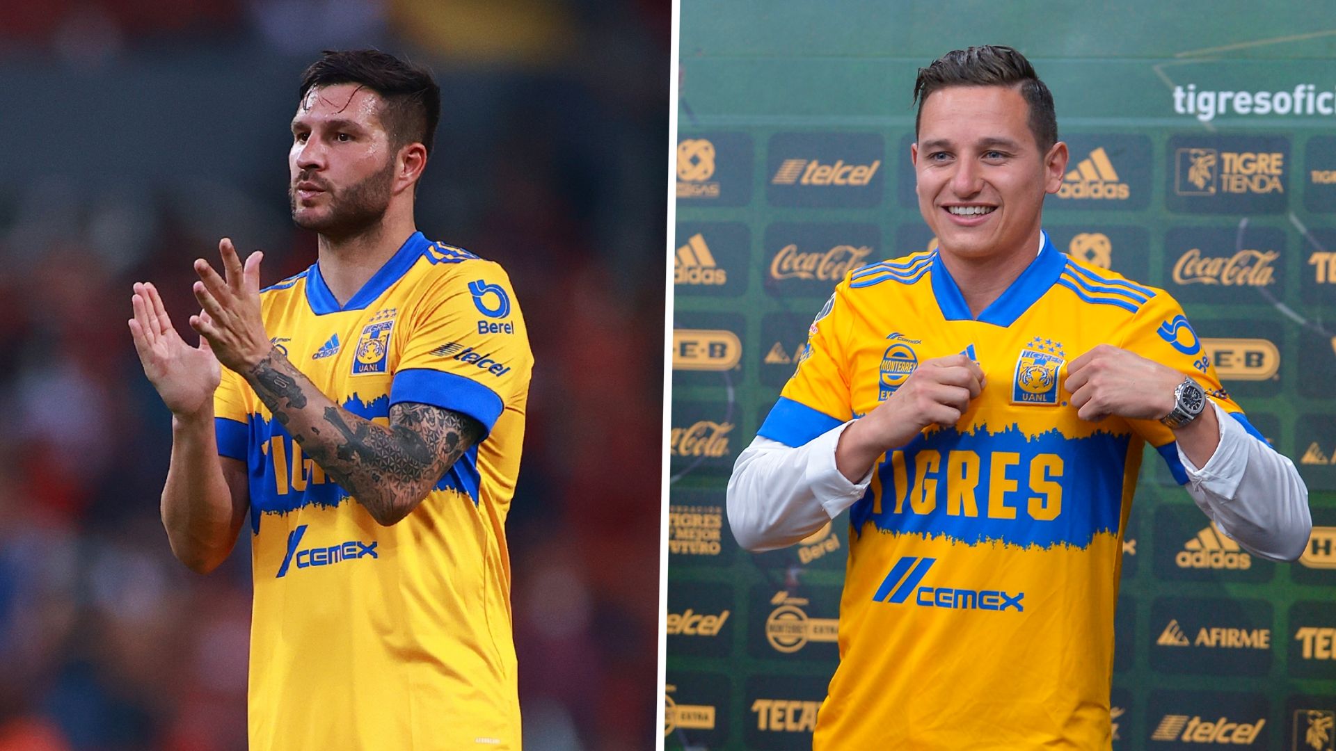 Gignac Thauvn Tigres split