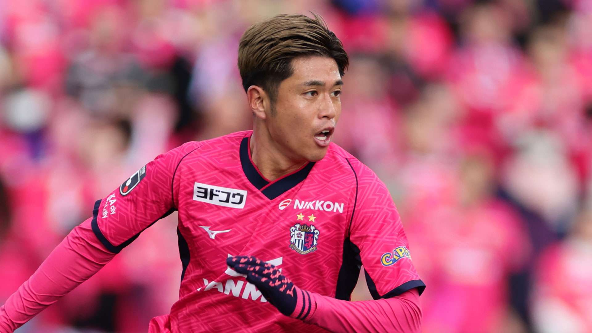 cerezo_1