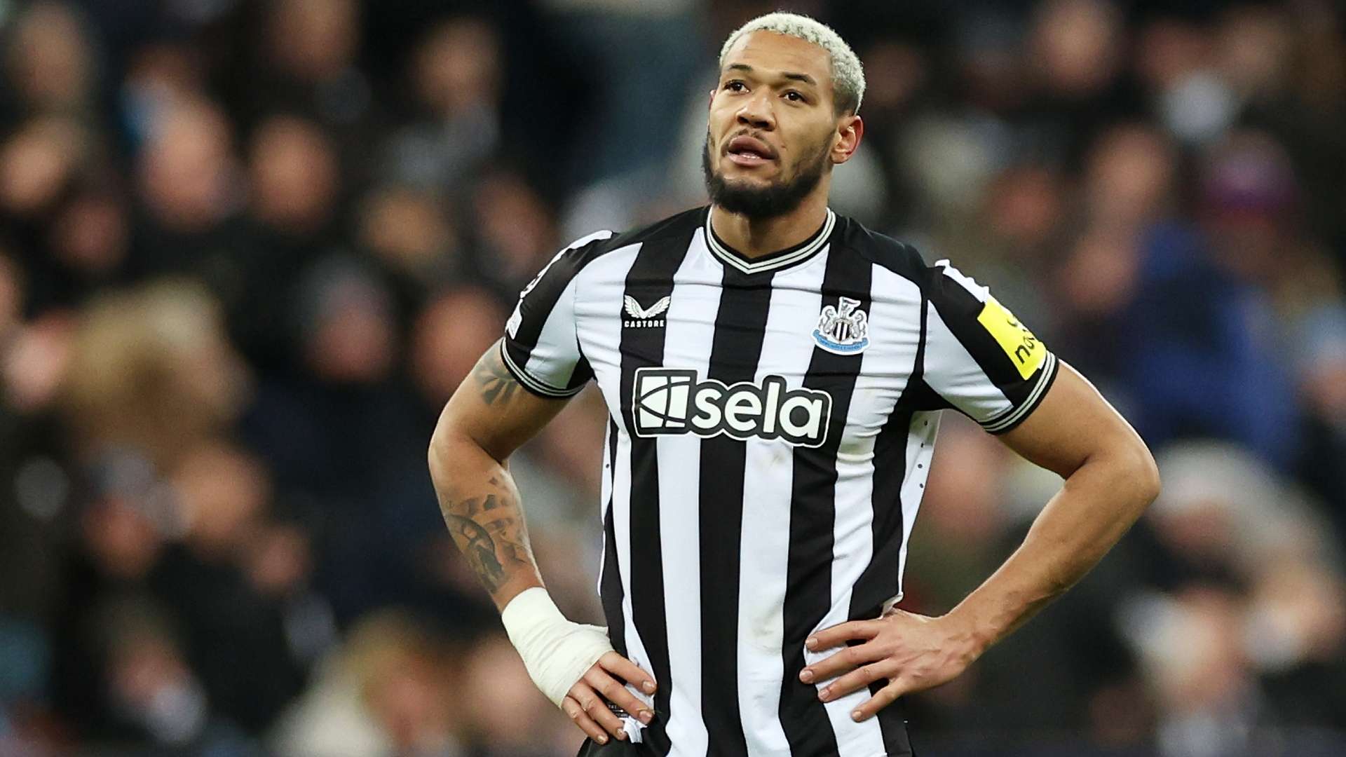 Joelinton Newcastle 2024-25