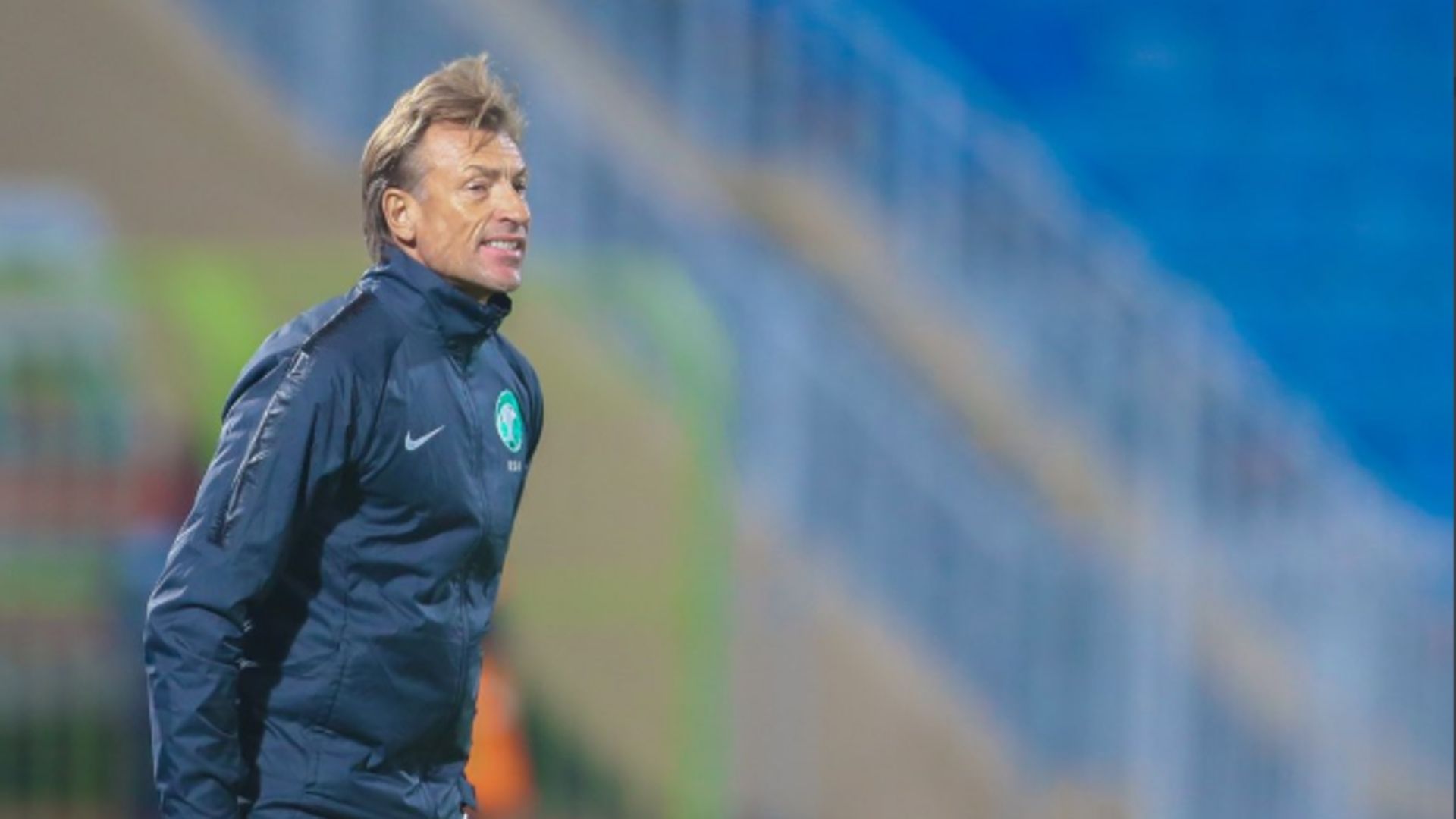 هيرفي رينارد