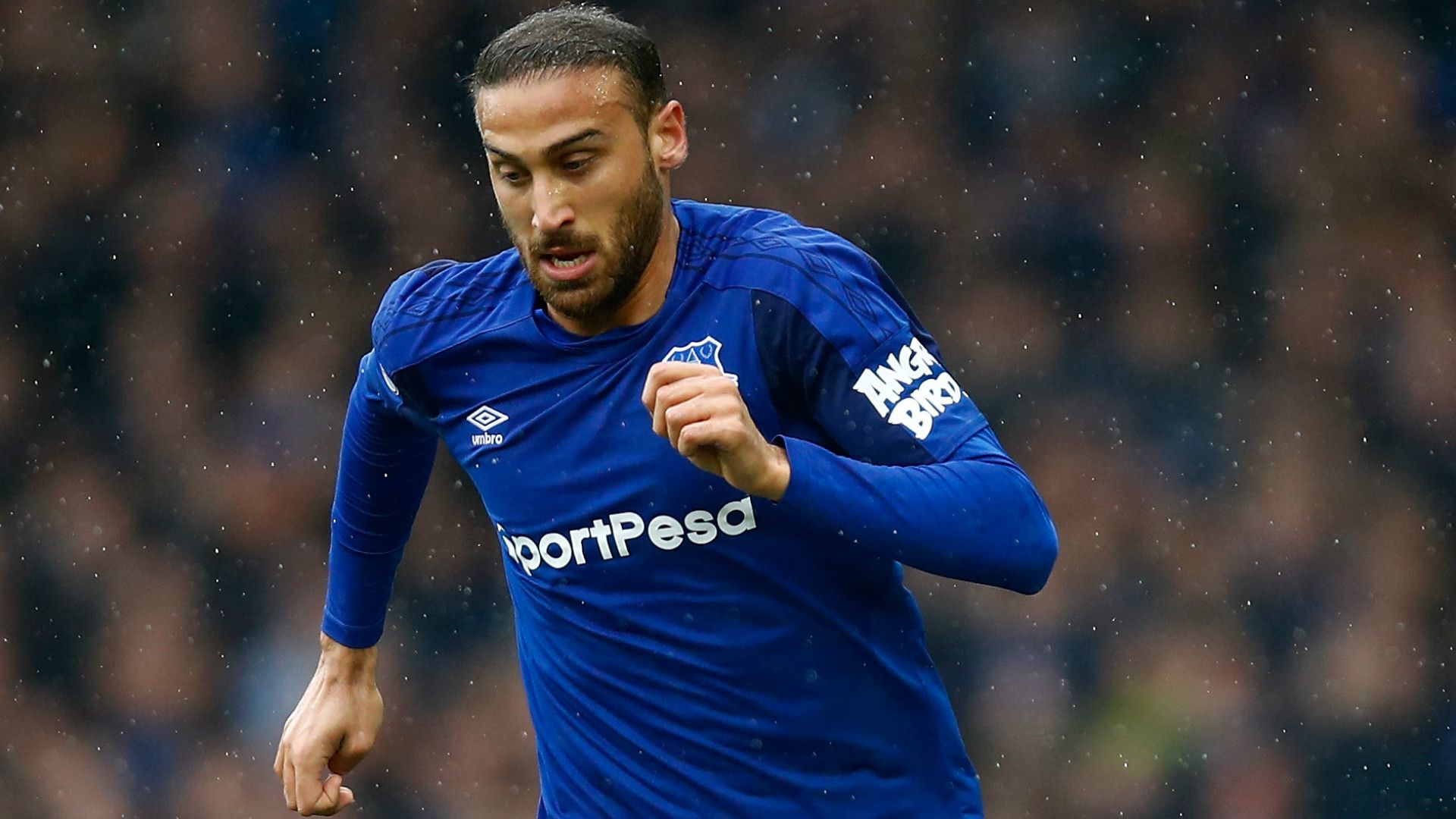 Cenk Tosun Everton