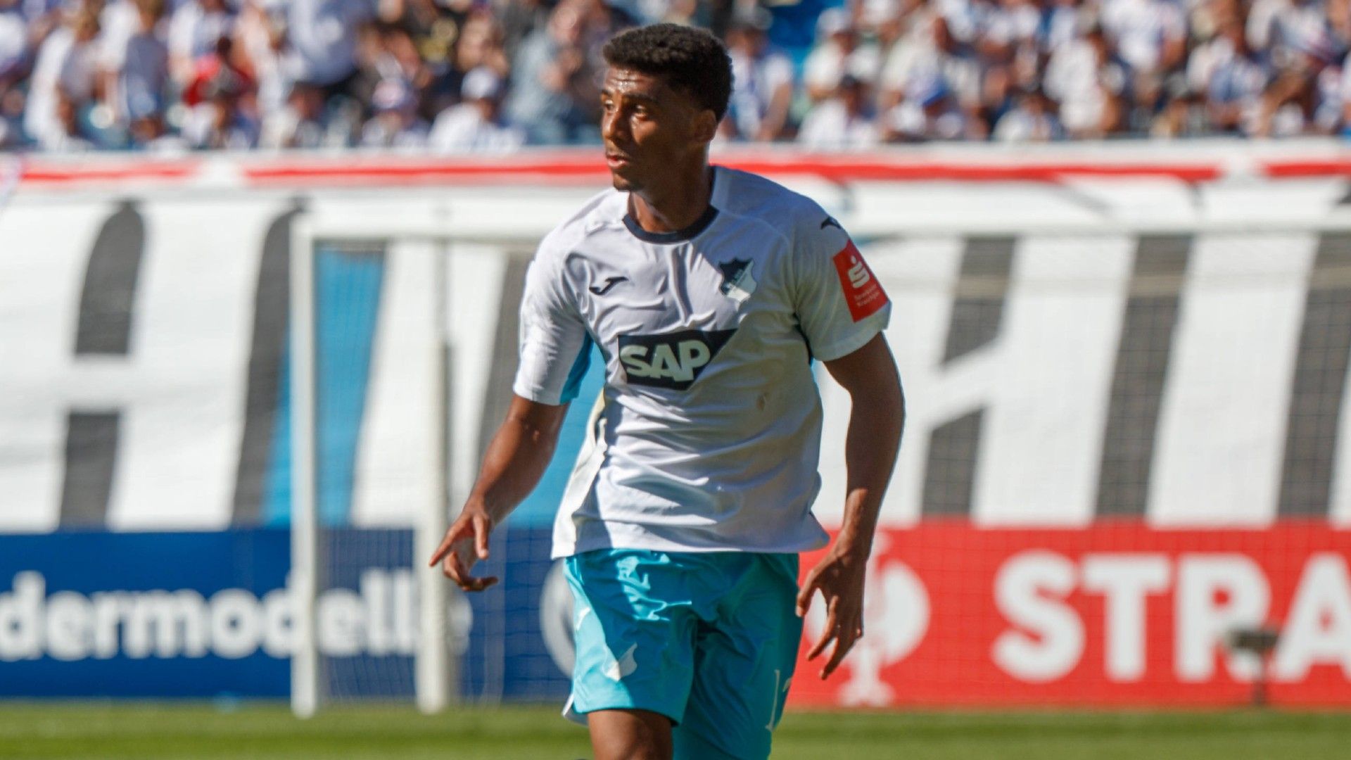 Bernardo Hoffenheim