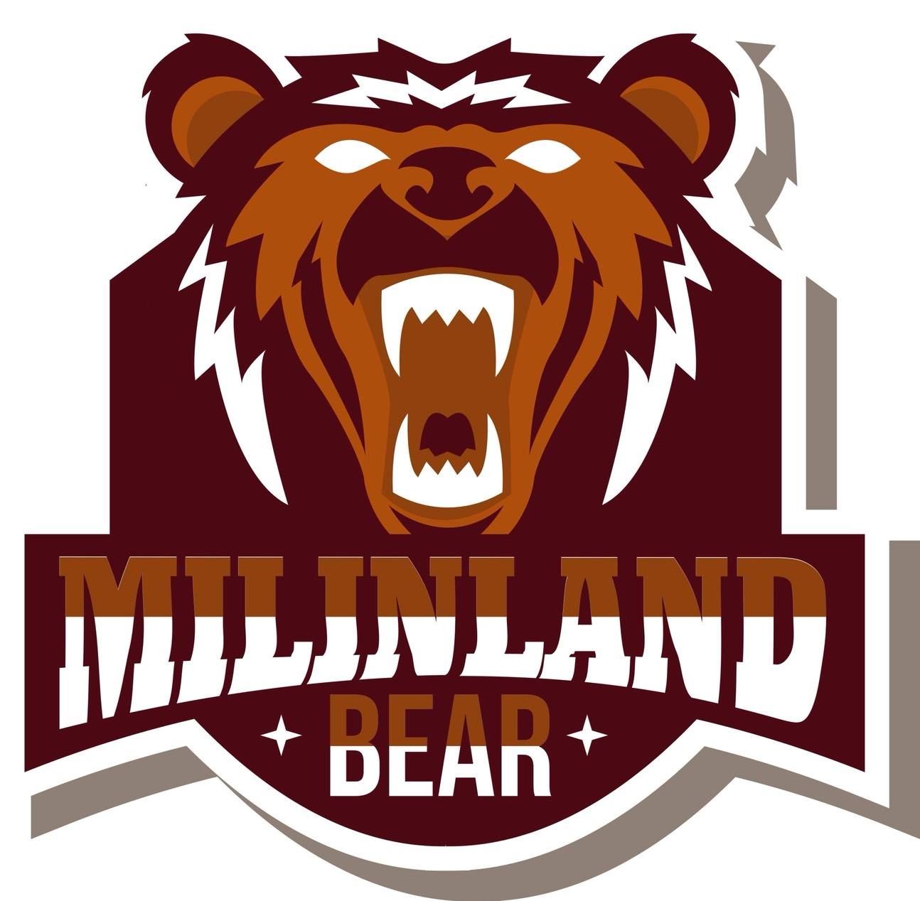 มิลินแลนด์แบร์