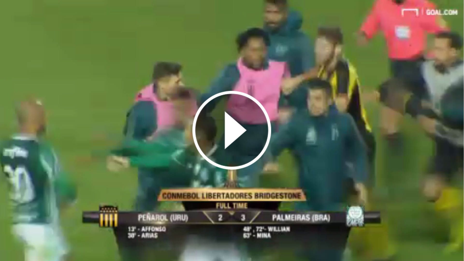 Play Pelea Peñarol Palmeiras Copa Libertadores 270417