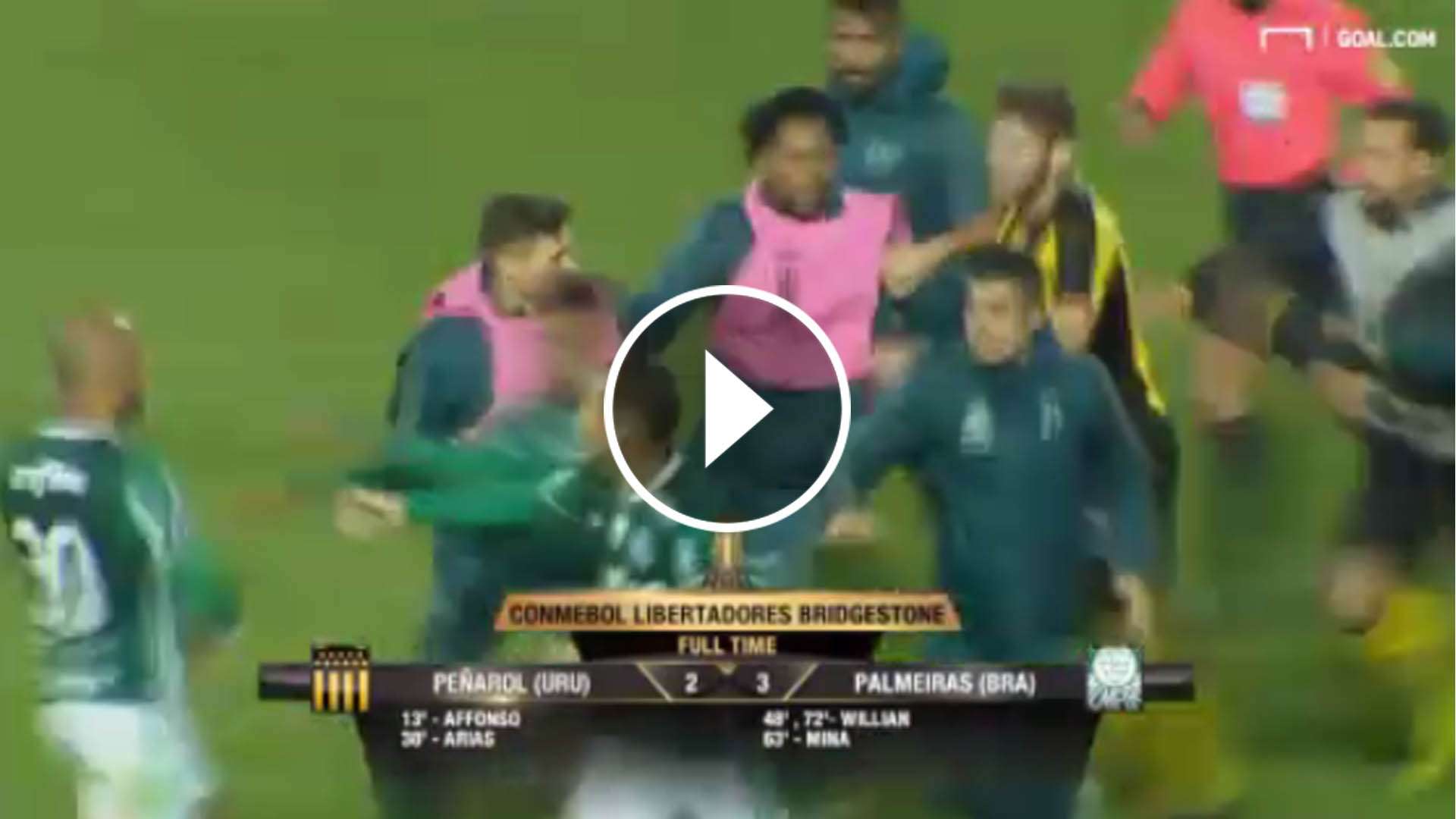 Play Pelea Peñarol Palmeiras Copa Libertadores 270417