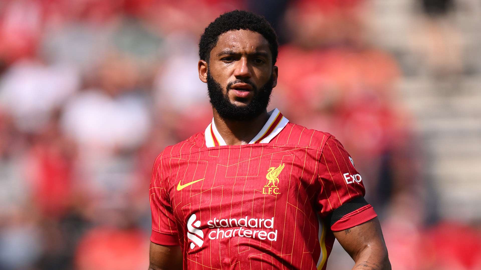 joe-gomez