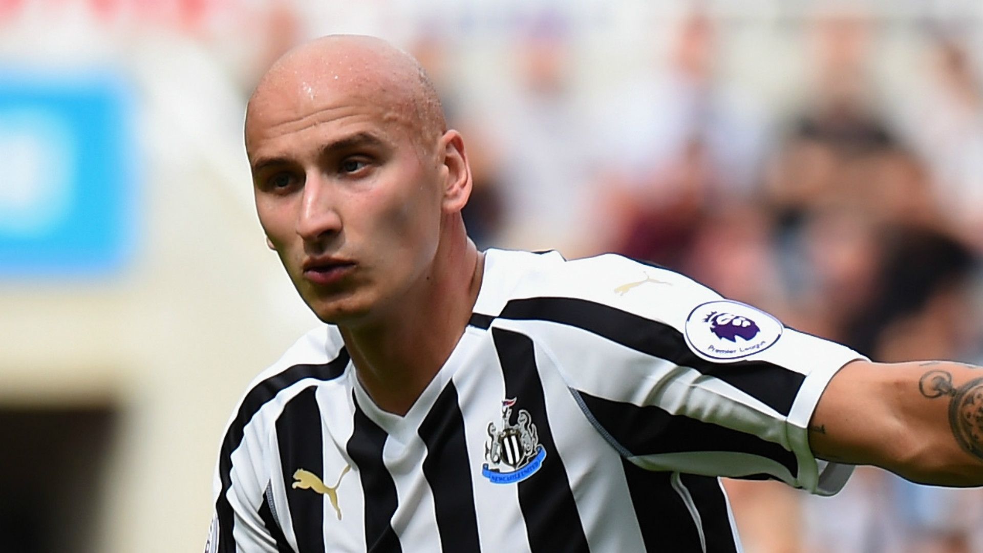 Jonjo Shelvey Newcastle 2018-19