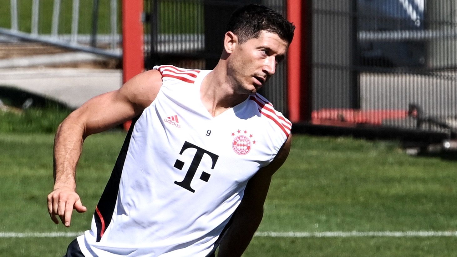 lewandowski