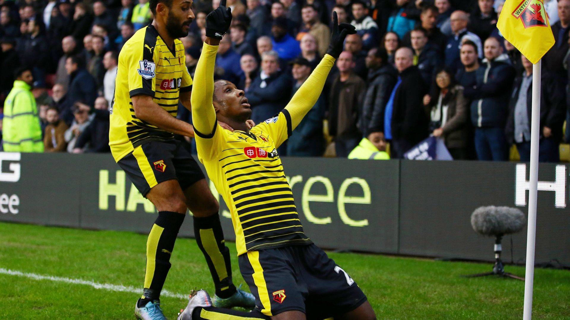 Odion Ighalo Watford