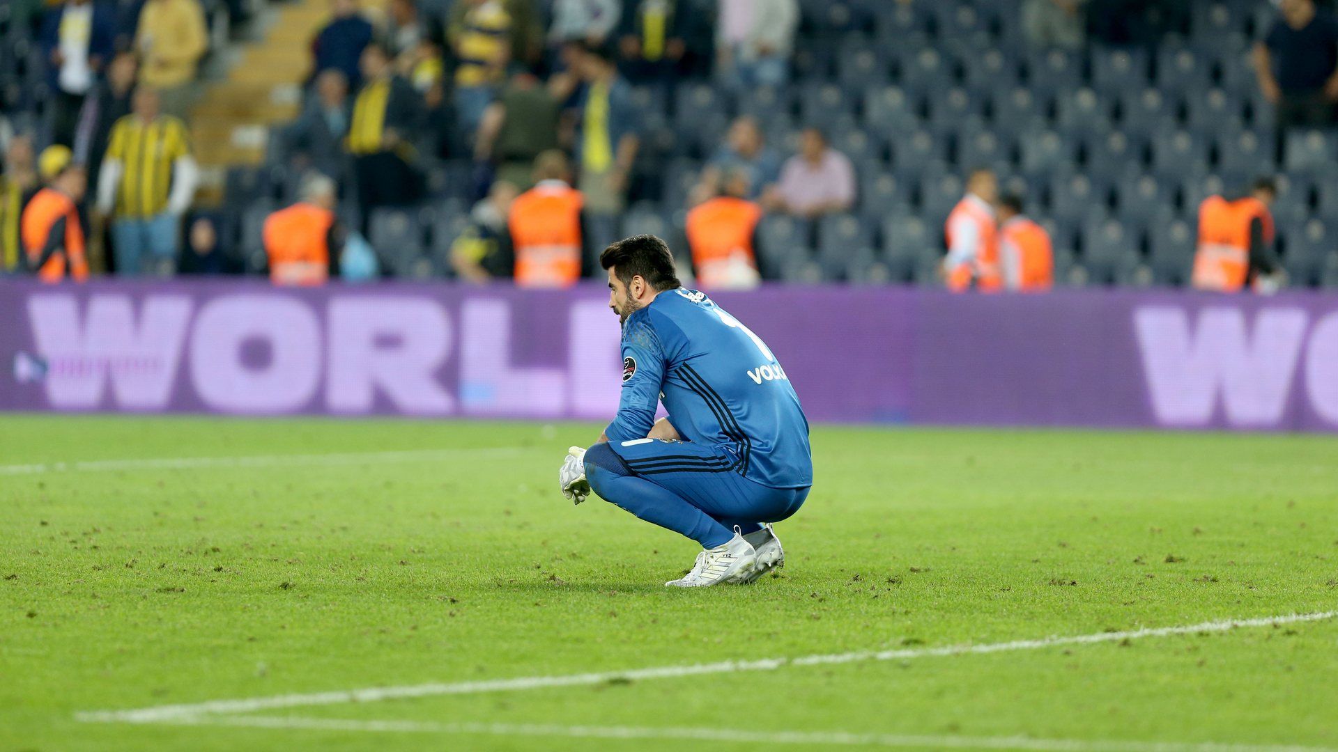 Volkan Demirel Fenerbahce