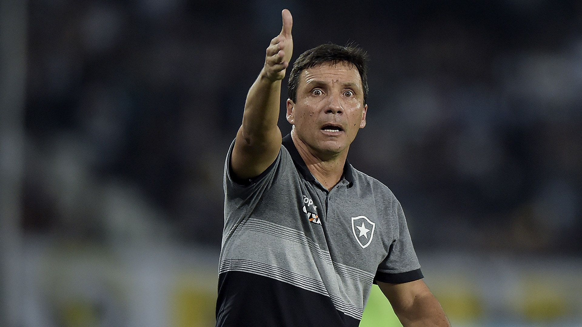 Zé Ricardo Botafogo 2018