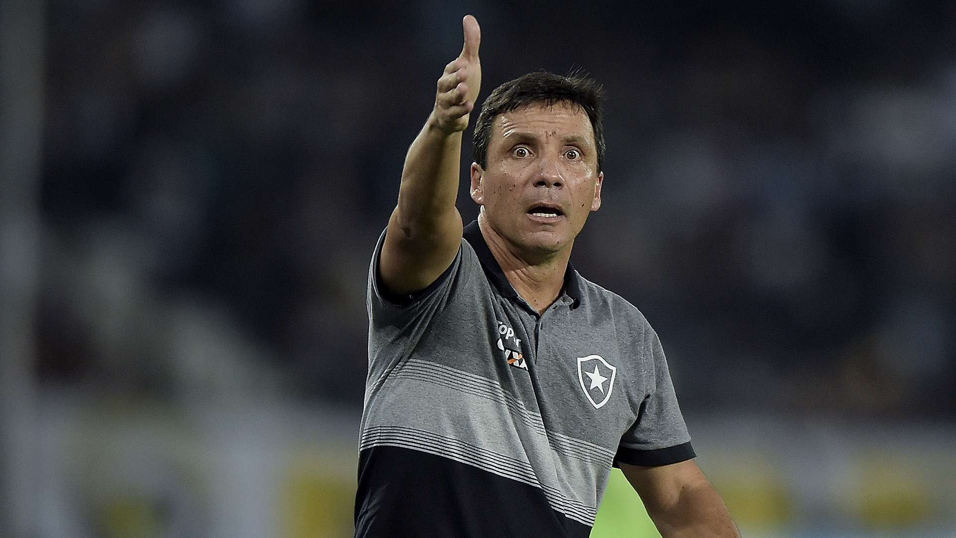 Zé Ricardo Botafogo 2018