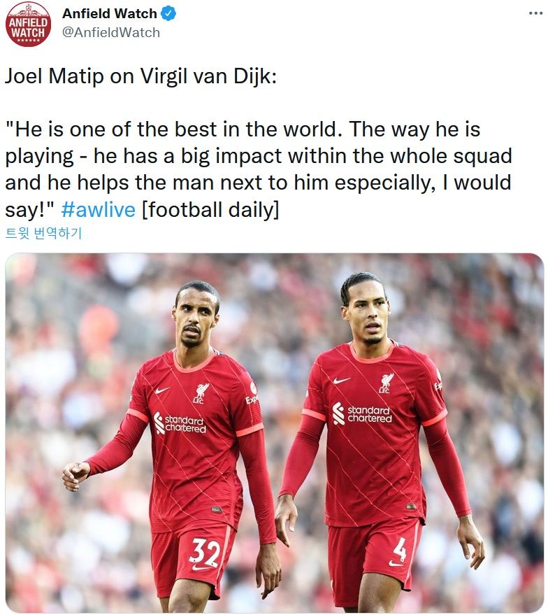 판 다이크의 마팁 칭찬