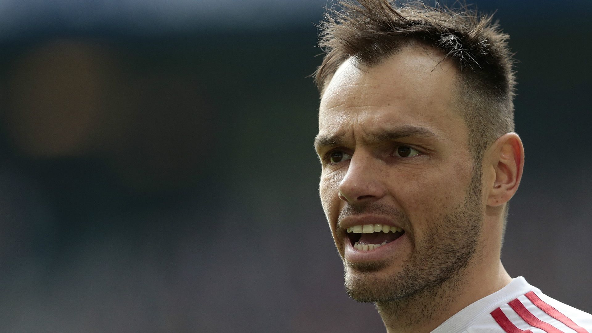 HEIKO WESTERMANN HAMBURGER SV