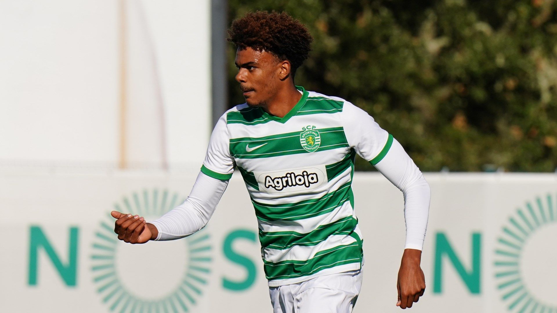 Renato Veiga Sporting CP Chelsea