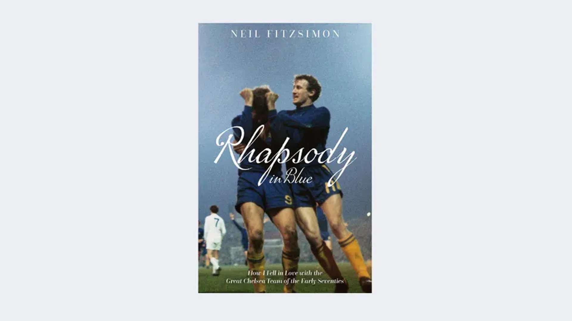 Rhapsody in Blue by Neil Fitzsimon
