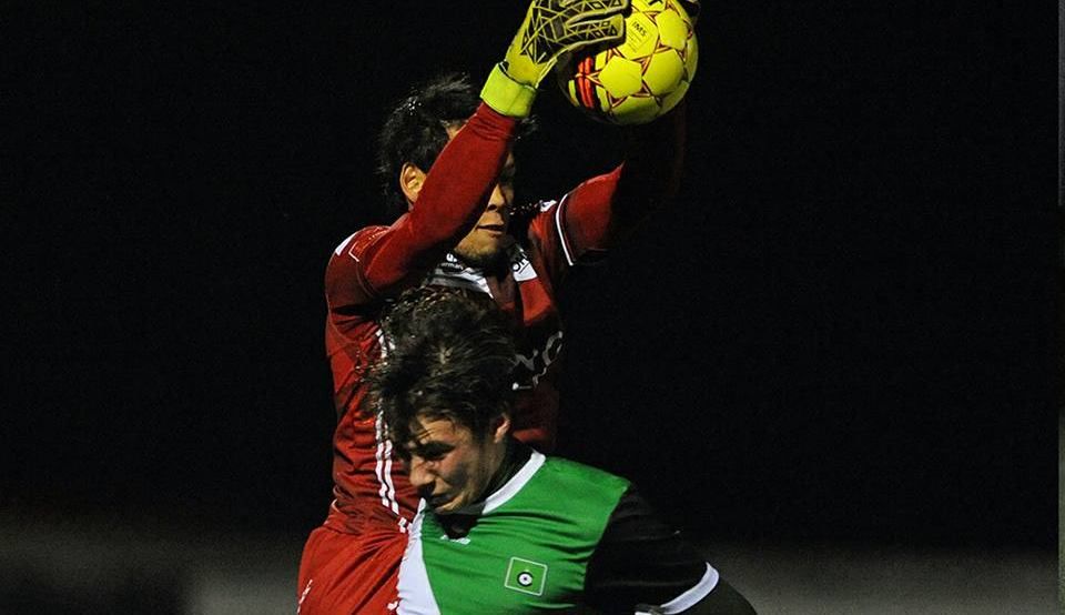 กวินทร์ ธรรมสัจจานันท์
