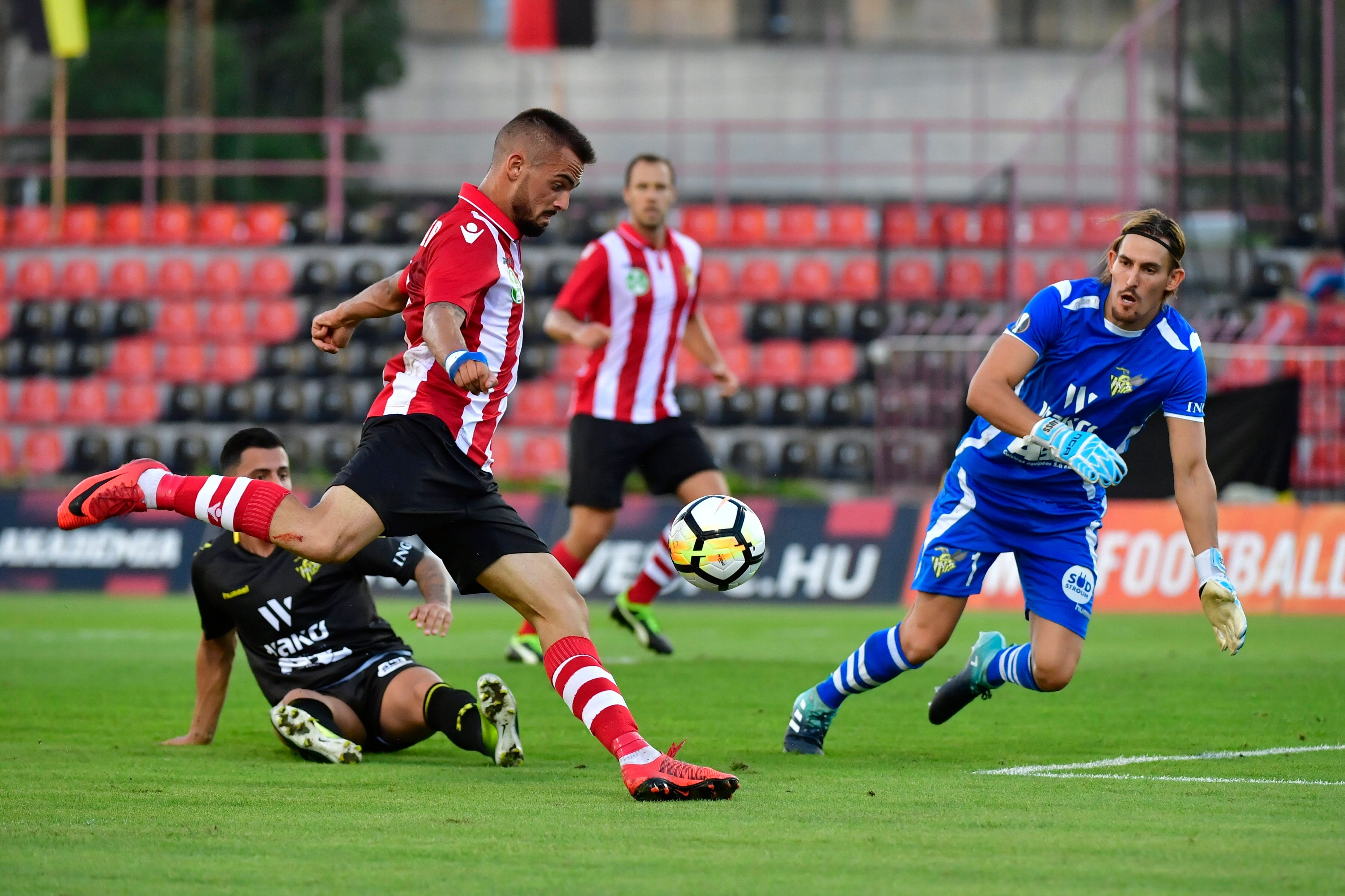 Filip Holander Honvéd