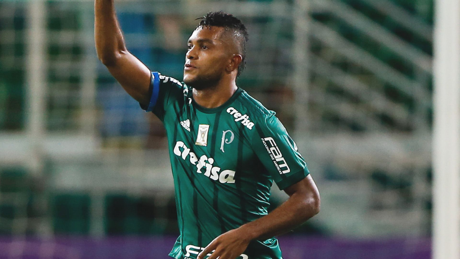 Miguel Borja Palmeiras Vasco Brasileirao Serie A 14052017