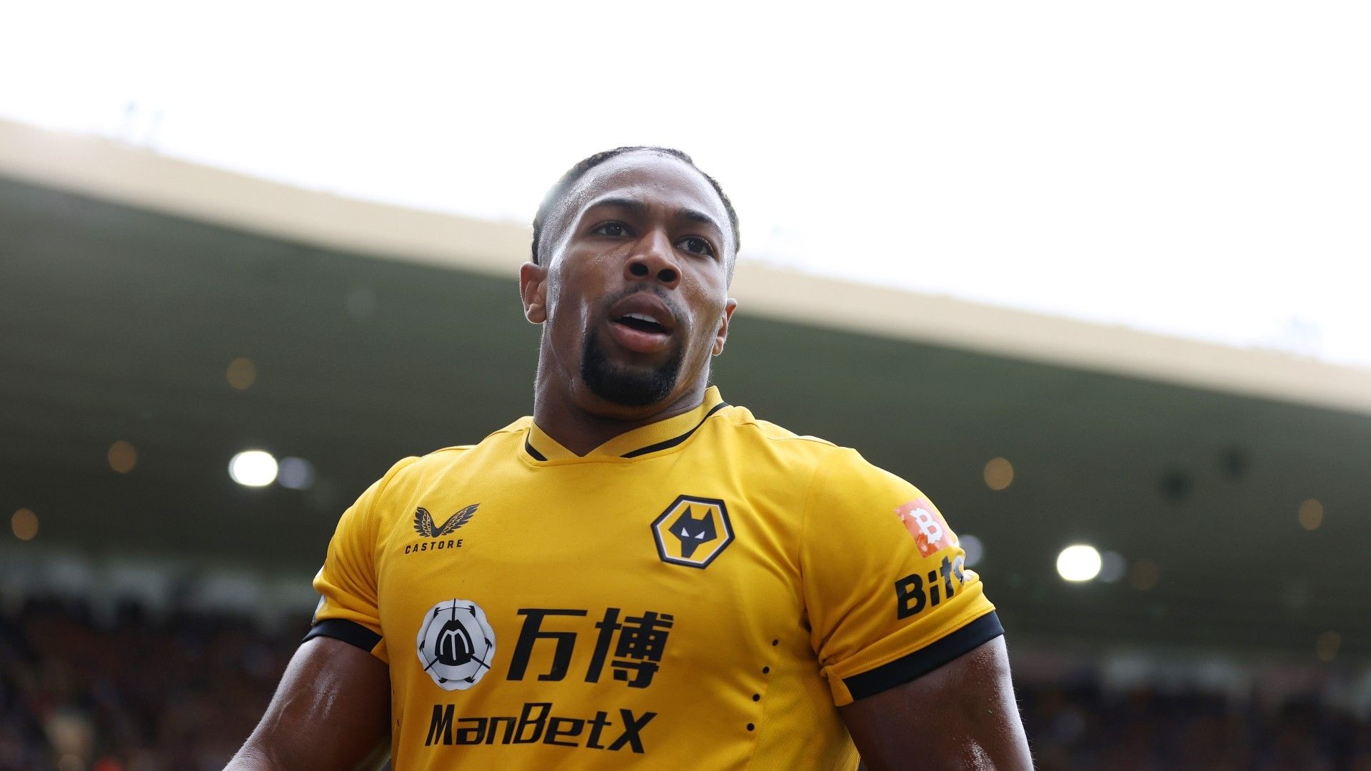 adama-wolves-premier