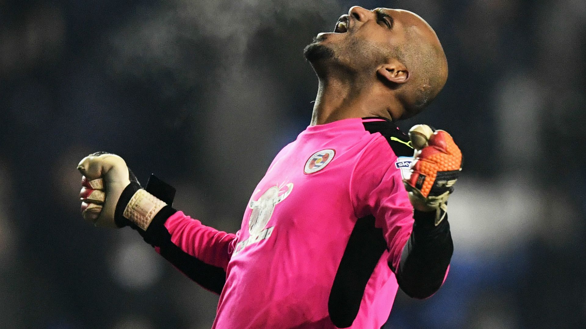 Ali Al Habsi Reading Championship