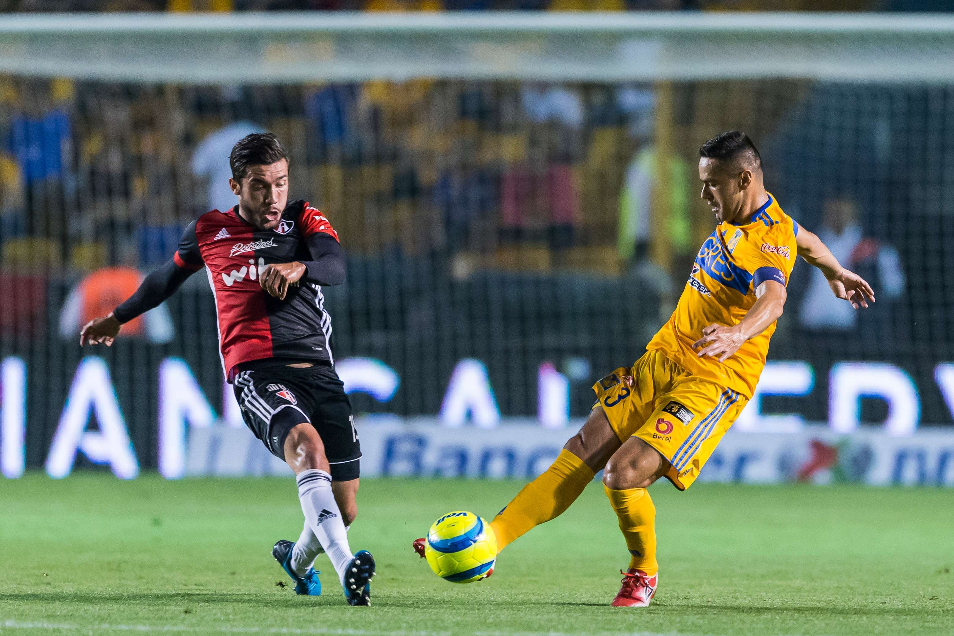 Tigres Atlas