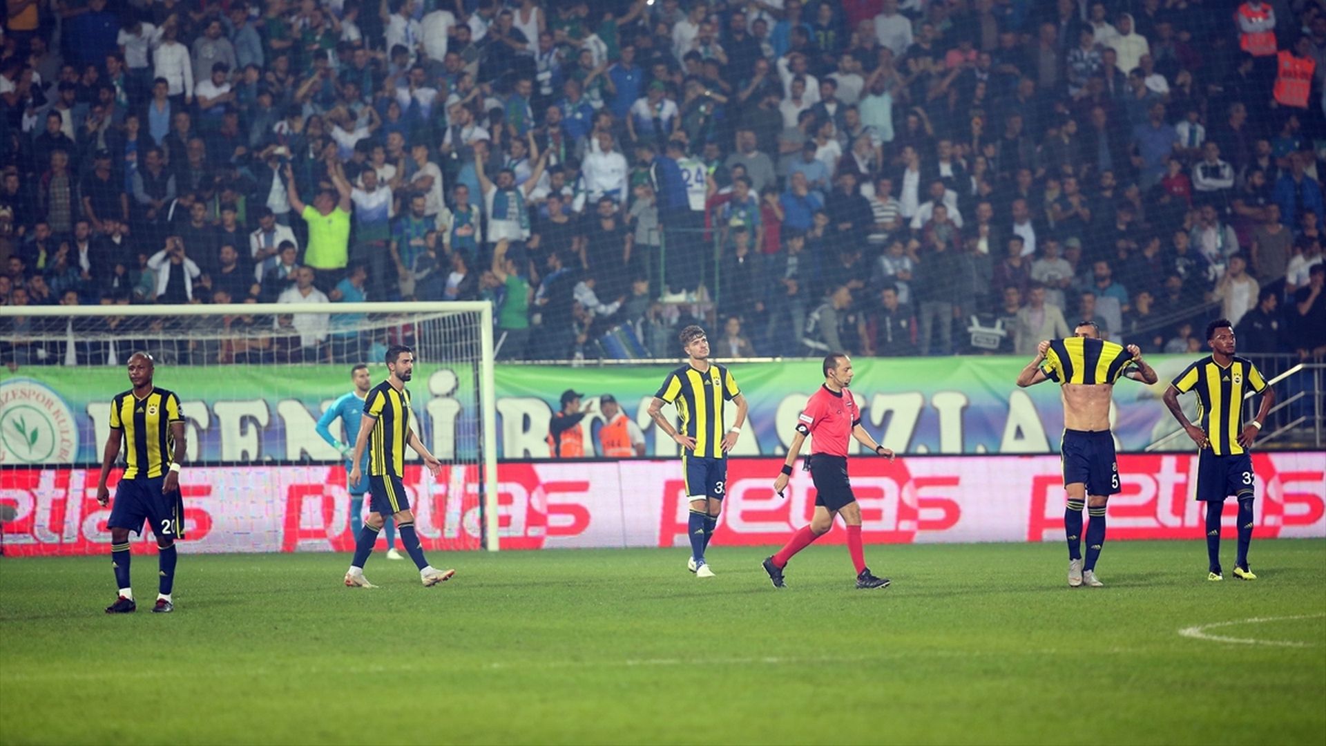 Fenerbahce 9302018