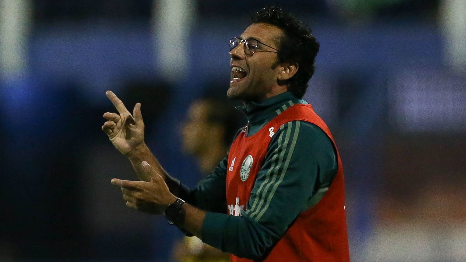 Alberto Valentim Avai Palmeiras Brasileirao Serie A 20112017