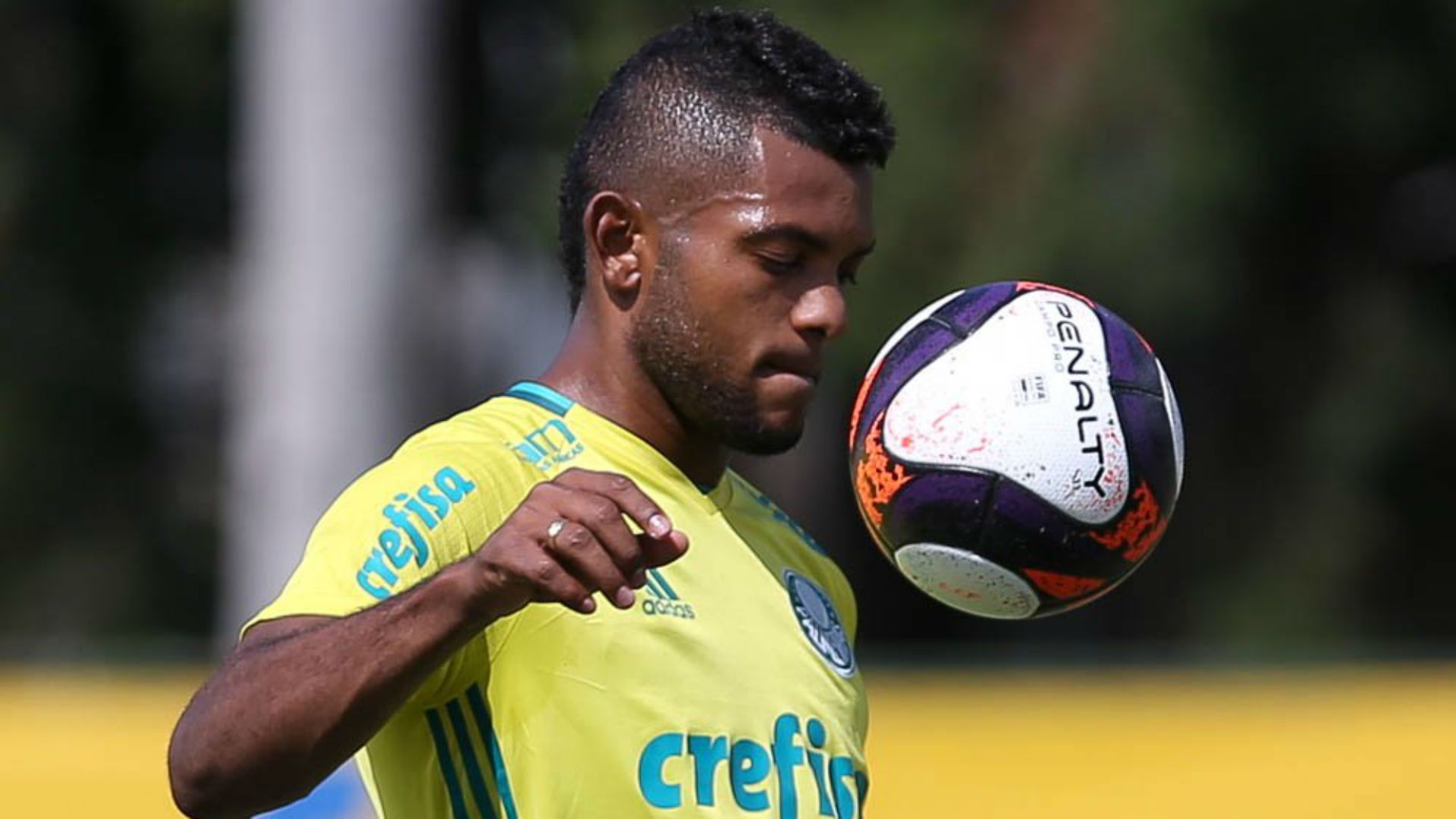 Miguel Borja Palmeiras