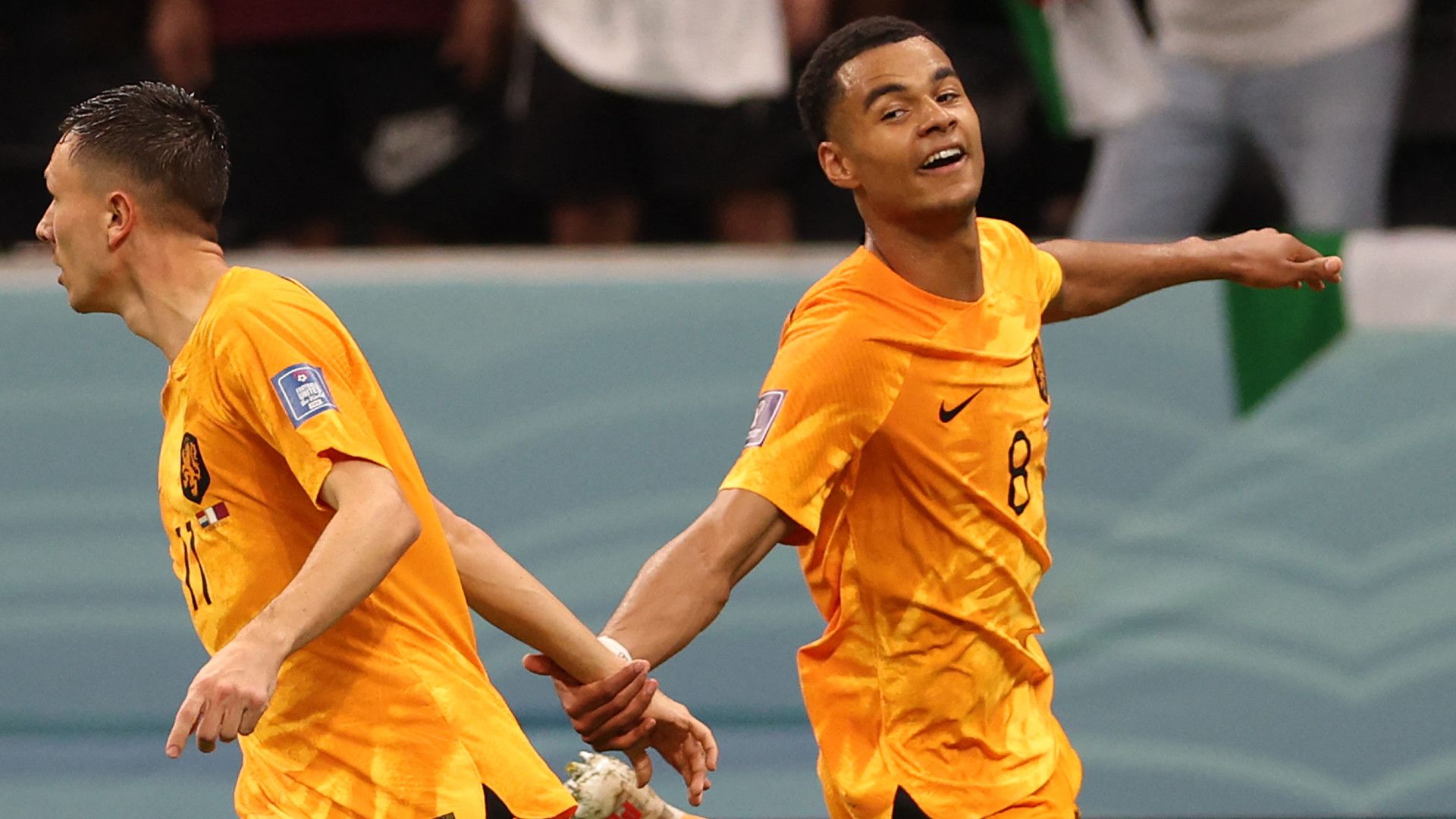 CODY GAKPO NETHERLANDS WORLD CUP 29112022