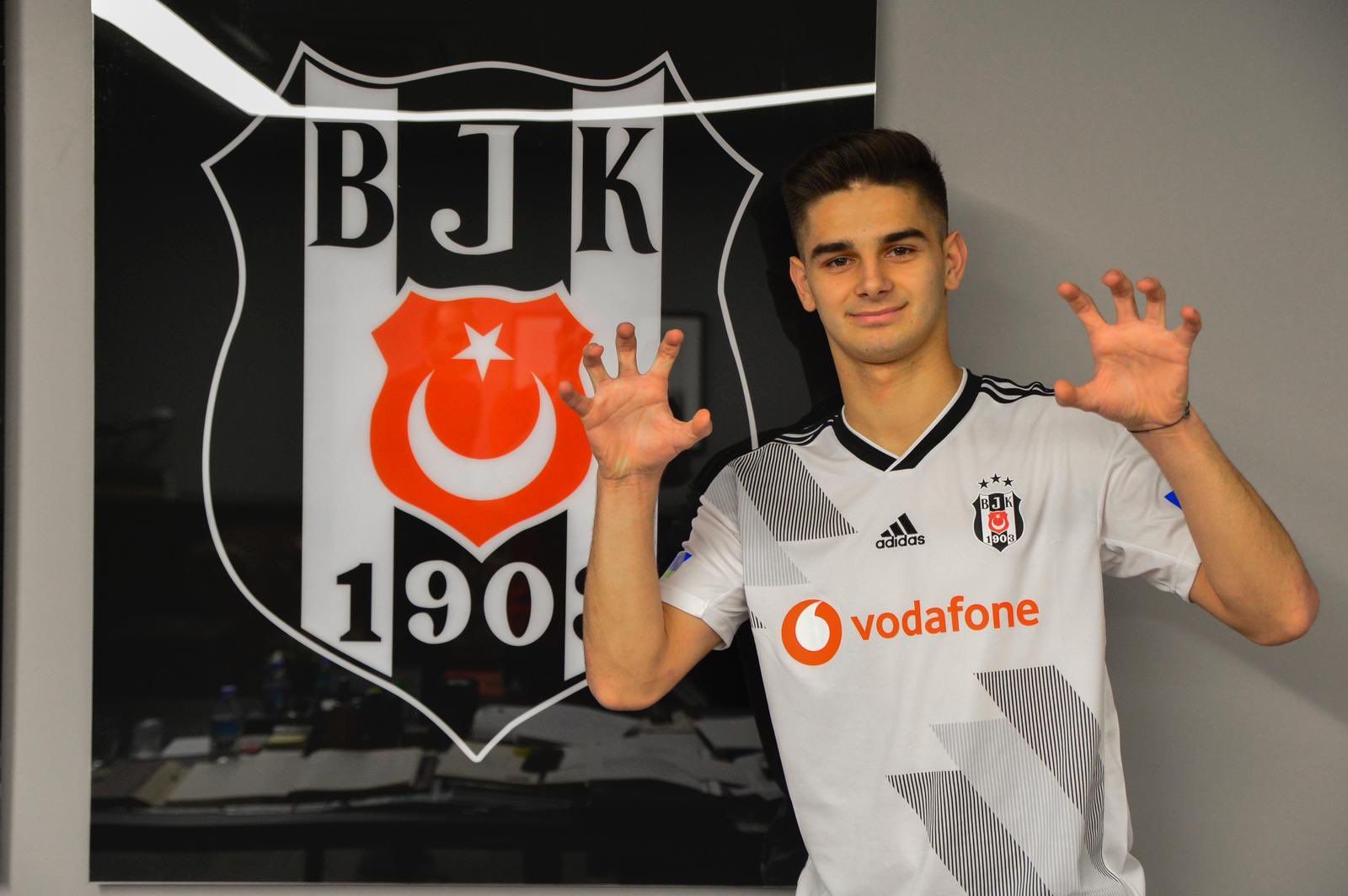 Ajdin Hasic Besiktas Transfer