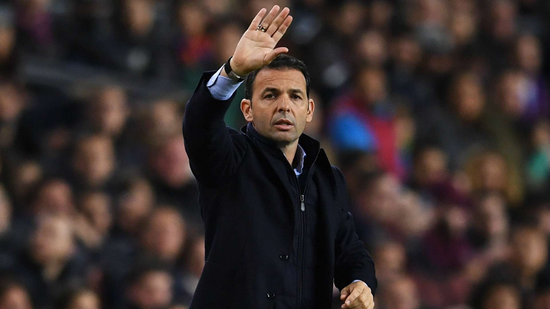 Javier Calleja Villarreal 12022018